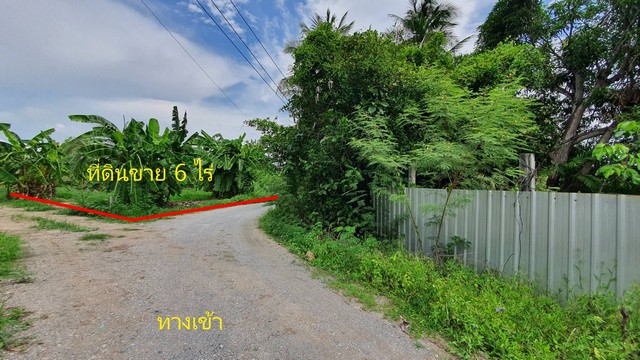 ขายที่ดิน 6 ไร่กว่า หนองแขม ซอยไชโย ถนนบางบอน 3 .