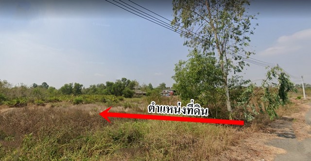 ขายที่ดินติดแม่น้ำ 9 ไร่เศษ (ถมแล้วบางส่วน) ต.ท่าพลับ อ.บ้านโพธิ์