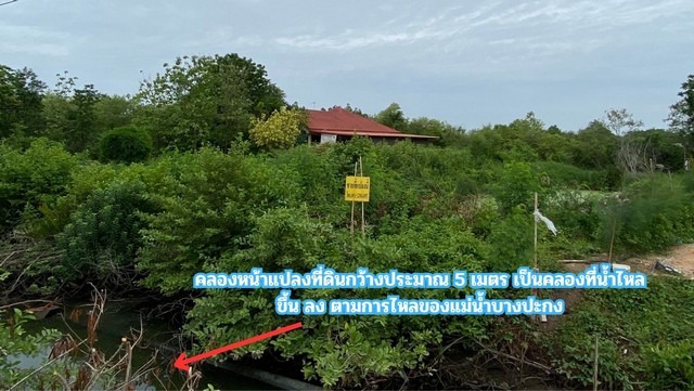 ขายที่ดิน ติดคลอง 2 ไร่ ต.สนามจันทร์  อ.บ้านโพธิ์ จ.ฉะเชิงเทรา