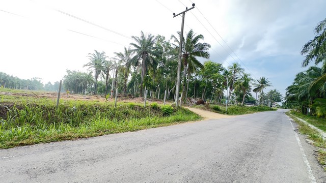 ขาย ที่ดินใกล้ทะเล ต.ทรายทอง อ.บางสะพานน้อย จ.ประจวบคีรีขันธ์.