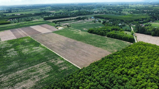 ขายที่ดิน 350,000 /ไร่ จังหวัดพิษณุโลก อำเภอเมืองพิษณุโลก ตำบล บ้.