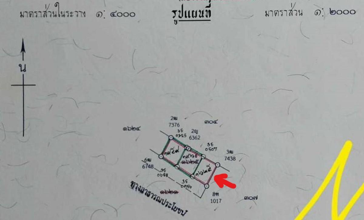 ขายที่ดิน 77.9ว.1.1ล. บ้านถวาย น้ำโท้ง ขุนคง หางดง เชียงใหม่.