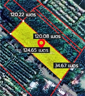  ขายที่ดินแปลงติดแม่น้ำบางปะกง (เกาะลัด) 2 .