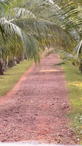 สำหรับชาวนักลงทุนและผู้หาซื้อทรัพย์ดีดี    ขายที่ดินติดทะเล หาดฝั.