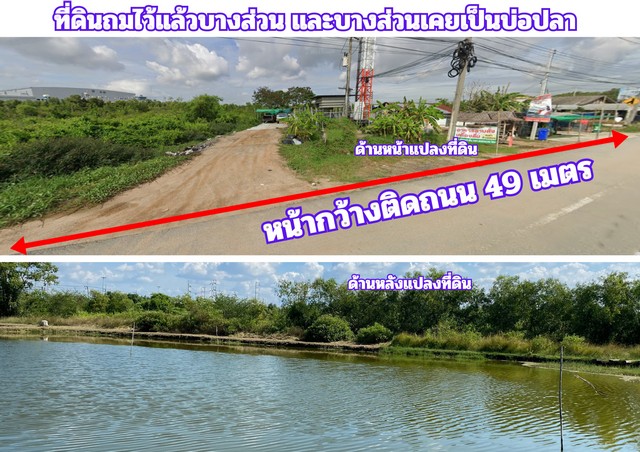 ขายที่สีม่วง 3 ไร่ ผังอีอีซี รถเทรลเลอร์เข้าได้ อ.บางปะกง จ.ฉะเชิ