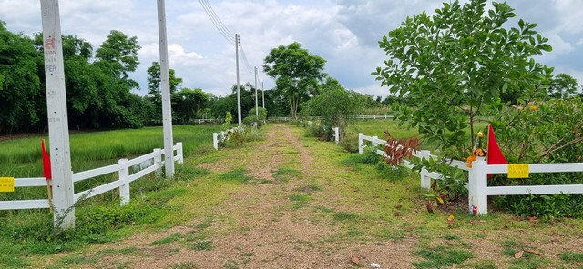 ขายที่ดินน้ำไฟพร้อม คลองสิบสาม บึงน้ำรักษ์ ธัญบุรี 170-200 ตรว..