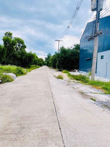 ที่ดินคลอง11 หนองเสือ ปทุมธานี น้ำไฟมี ติดถนนคอนกรีต 63 ตรว..