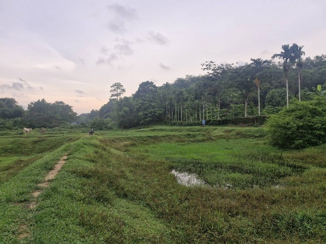 ขายที่ดิน บ้านลิพอน-ควนตาแท่น อำเภอถลาง จังหวัดภูเก็ต.