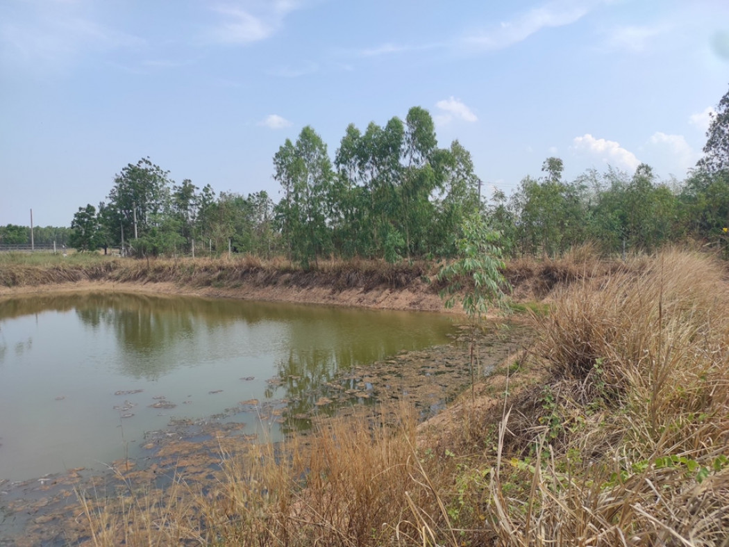 ขาย ที่ดิน ชุมชนห้วยยางโทน ปากท่อ ราชบุรี 5 ไร่ 3 งาน 5 ตร.วา เหมาะทำบ้านพักตากอากาศ สวนเกษตร รีสอร์ท