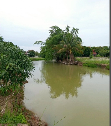 ขายที่ดินแปลงสวยริมน้ำ หมู่บ้าน THE LAGOON อ.สามโคก ปทุมธานี .