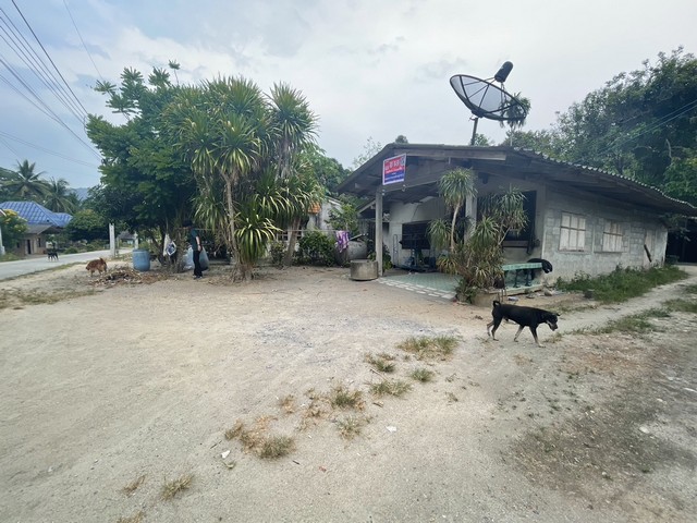 สำหรับท่านที่มองหาบ้านพร้อมที่ดิน ทำเลสวย ราคาโดนๆ แนะนำแปลงนี้เล.