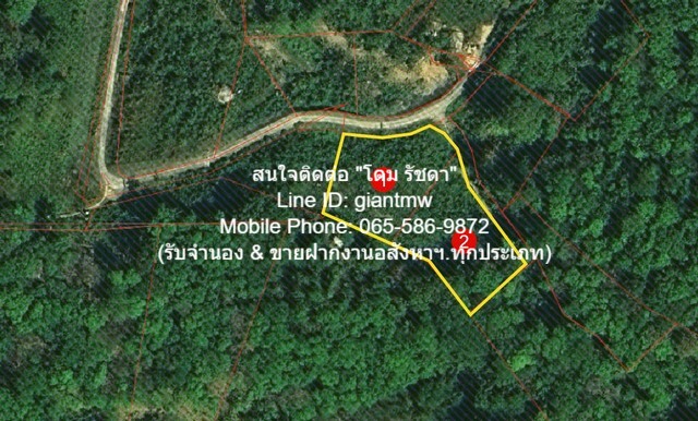 ขายที่ดินเปล่าบนภูเขา และวิวทะเล ต.กมลา อ.กะทู้ จ.ภูเก็ต 2 ไร่.