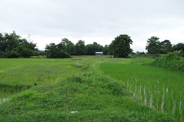 ที่ดินแปลงสวย...วิวดอยภูคา...ใกล้แหล่งท่องเที่ยวชื่อดัง อ.ปัว  .