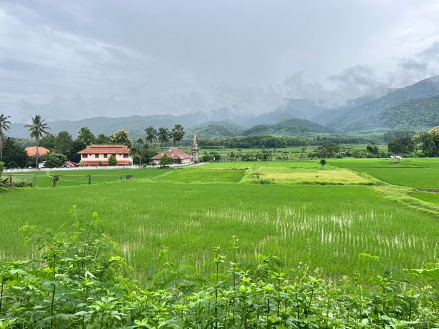 ที่ดิน...วิวดอยภูคา...ใกล้แหล่งชุมชน...ใกล้แหล่งท่องเที่ยว  .