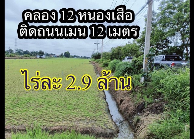 ขายที่ดิน คลอง 12 ตำบลสามวัง อำเภอหนองเสือ จังหวัดปทุมธานี.