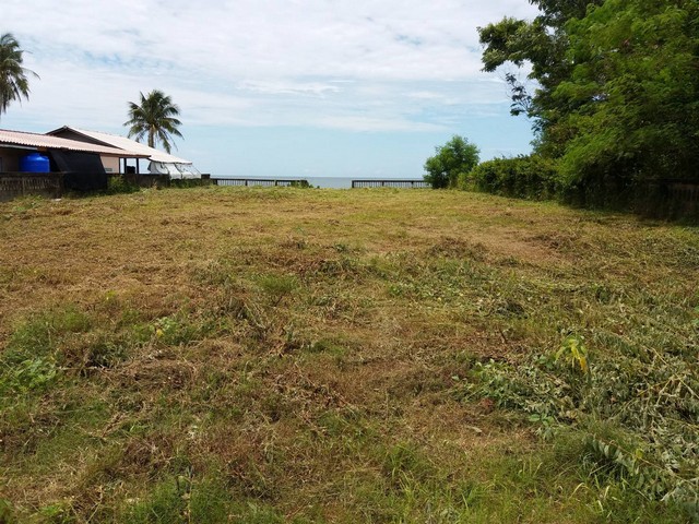 ไฮไลท์ทรัพย์เช่าผ่อนซื้อได้ที่นี่ ที่ดินริมหาด  ทรายขาวน้.