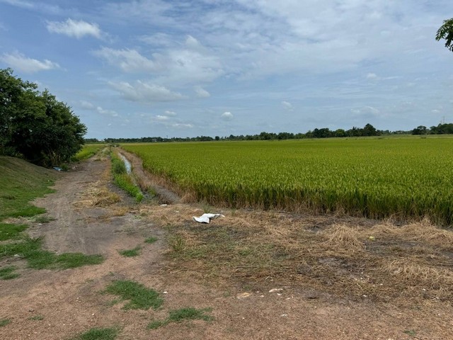 ขายที่ดินแปลงสวย ขุนศรี-ไทรน้อย 7,000/ตรว..