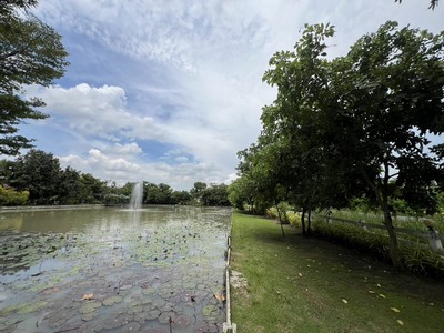 ขายที่ดินหนองจอก ติดถนนคลองสิบ-คลองสิบสี่ ที่ดินผืนใหญ่ 21 ไร่ .