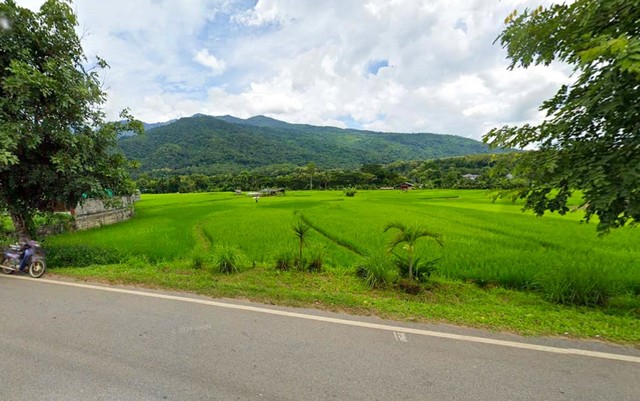 ที่ดินติดถนนใหญ่วิวดอยภูคา ทำเลสวย ติดถนน   .