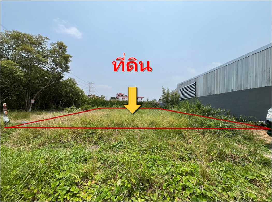 ขาย ที่ดิน 100 ตรว พุทธมณฑล สาย 3 แยก22 เข้าซอย 250ม เหมาะ บ้าน โกดัง