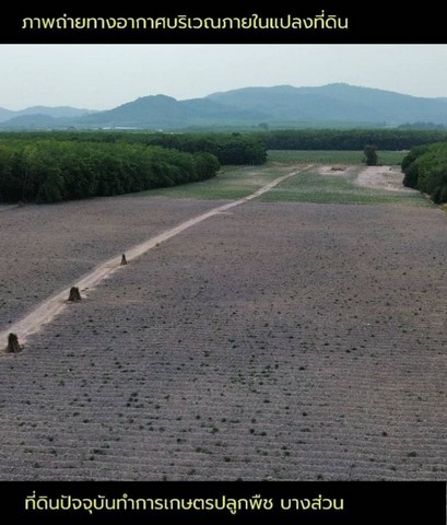 ขายที่ดินมาบข่า นิคมพัฒนา ระยอง   .