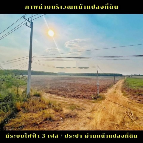 ขายที่ดินหนองเสือช้าง หนองใหญ่ ชลบุรี   .