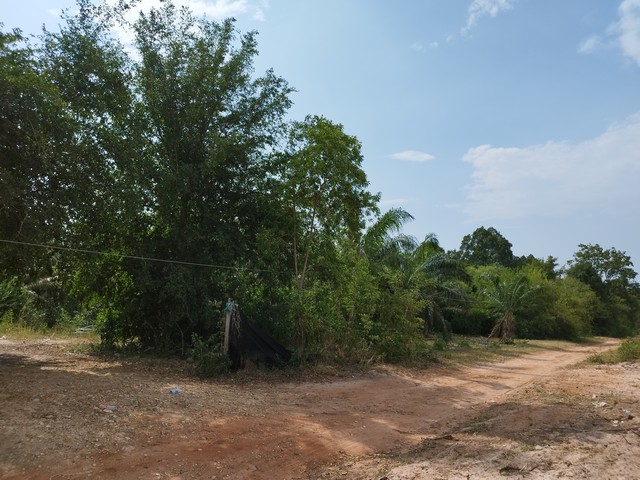 ขายที่ดิน ขายที่ดินเปล่า หนองอิรุณ สี่เหลี่ยมสวยมาก  .