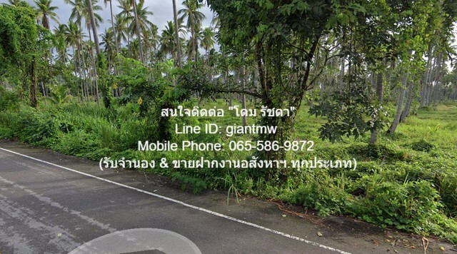 ให้เช่าที่ดินเปล่าทำการเกษตร 40 ไร่ (มีแหล่งน้ำ) อ.ทับสะแก จ.ประจ  .