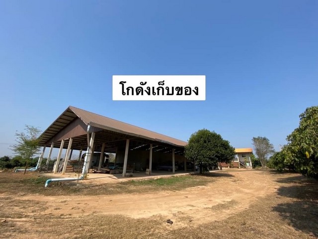 ขายที่ดินสวนลำไย เนื้อที่ 69-3-23 ไร่ จ.น่าน ต.ฝายแก้ว(1)  .