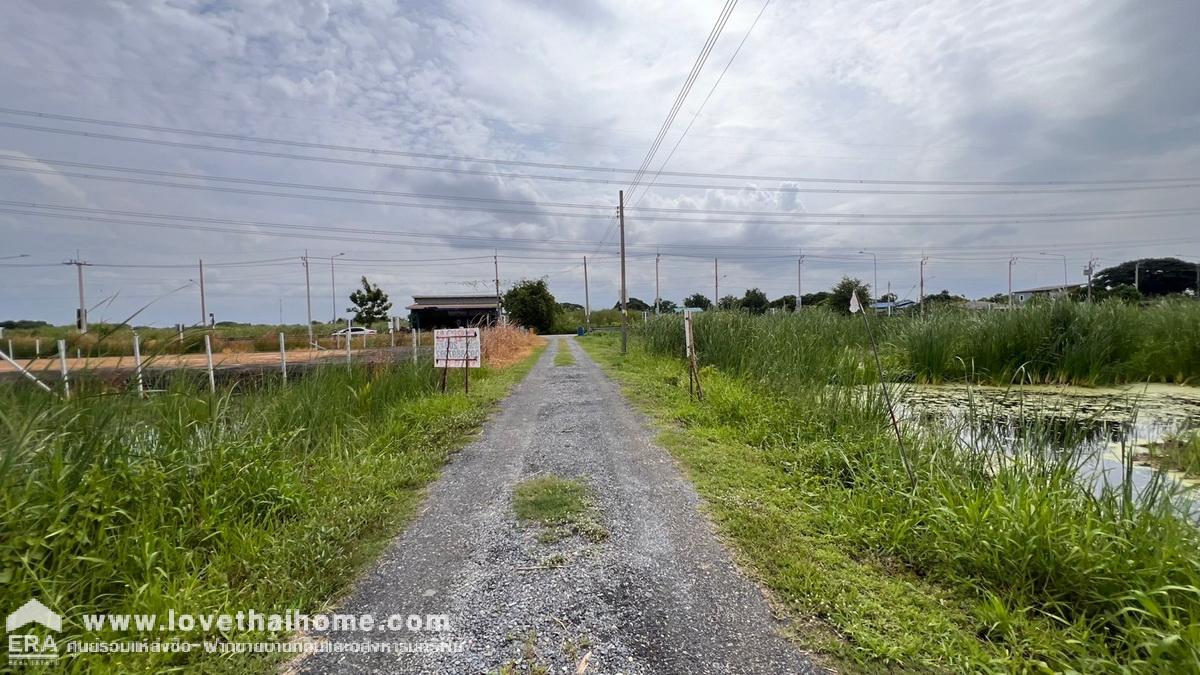 ขายที่ดิน ซอยวัดพระเงิน ถนนบางม่วง-บางคูลัด พื้นที่ 295 ตรว. แปลงสวย เหมาะลงทุน ใกล้ตลาดน้ำบางคูลัด