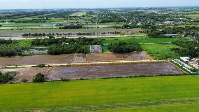 ขายที่ดิน คลองห้า ซอยกลั่นกรอง ตะวันตก  อ.คลองหลวง จ.ปทุมธานี   .