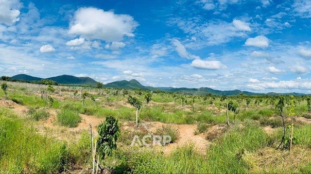 ขายที่ดิน ตำบลมะเขือแจ้ เมืองลำพูน  ขนาด 15 ไร่  .