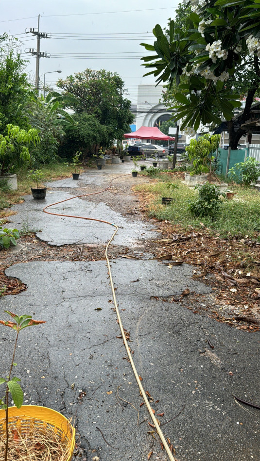 ขายด่วน! ที่ดินถมแล้ว ติดถนนสิงหวัฒน์ ตรงข้ามศาลหลักเมือง จ.พิษณุโลก