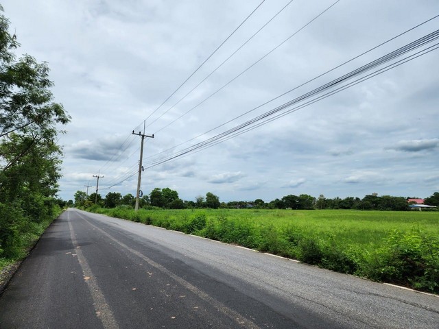 ขายด่วน ที่ดิน 48 ไร่ หนองแค สระบุรี ติดสนามทดสอบยางไทยบริดสโตน   .