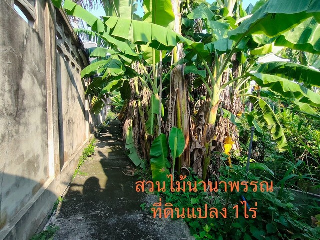  ขายที่ดินเปล่าติดถนนนครอินทร์ฝั่งขาเข้า ตรงข้ามอู่พระราม 5  .