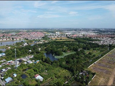 ขาย ที่ดิน 146 ไร่ บางบัวทอง นนทบุรี บางใหญ่   .