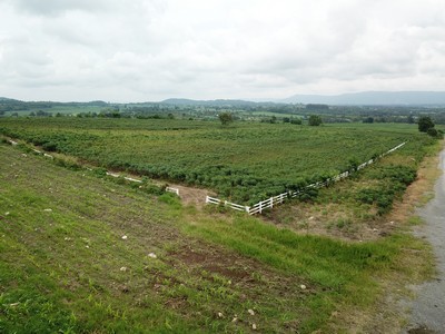 ขายที่ดิน เขาใหญ่ ต.คลองม่วง อ.ปากช่อง 1000 ไร่ ที่ดินอยู่บนเขา วิวสวยมากๆ