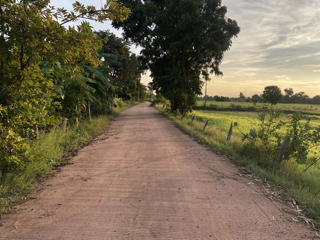 ขายที่ดิน บ้านหัวนา อำเภอแวงน้อย จังหวัดขอนแก่น เนื้อที่ 10 ไร่  .