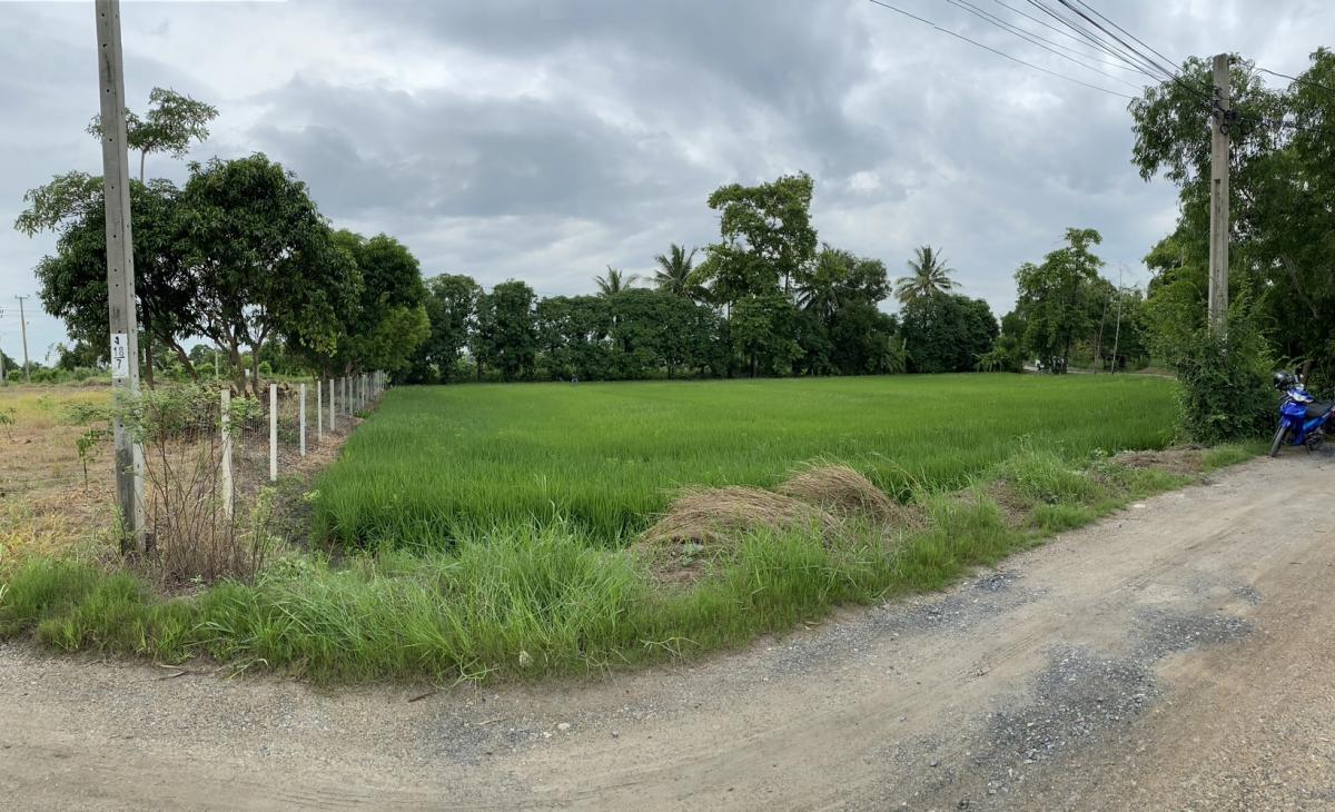 ขายที่ดิน อยู่ติดถนนสุวินทวงศ์ 98 เขตหนองจอก (เจ้าของขายเอง)