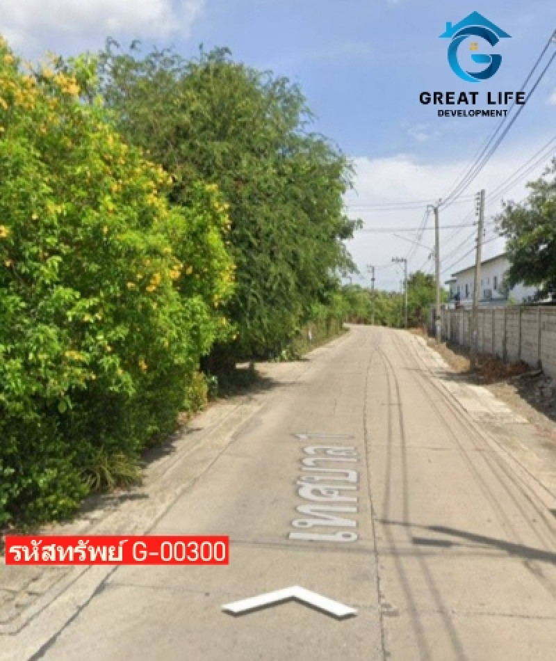 ขาย ที่ดิน ใกล้เทศบาลบางหลวง ที่ดินเปล่าพร้อมสิ่งปลูกสร้าง 2 ไร่ 23.4 ตรว