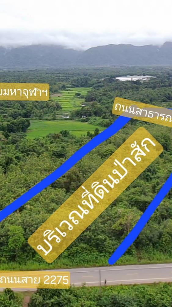 ขายที่ดินพร้อมไม้สักทอง 13 ปี อำเภอหล่มสัก จังหวัดเพชรบูรณ์   .