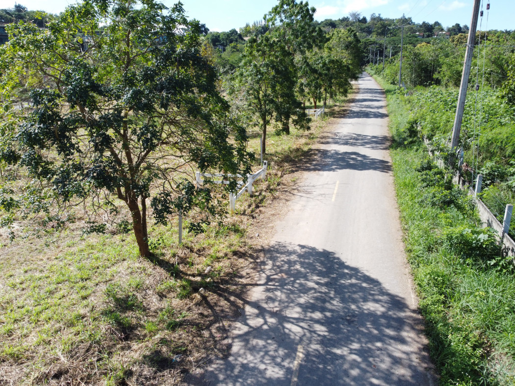 ขาย ที่ดิน เขาใหญ่ ต.​หนองน้ำแดง​ อ.ปากช่อง 1 ไร่ ทำเลดีที่สุดในย่านนี้