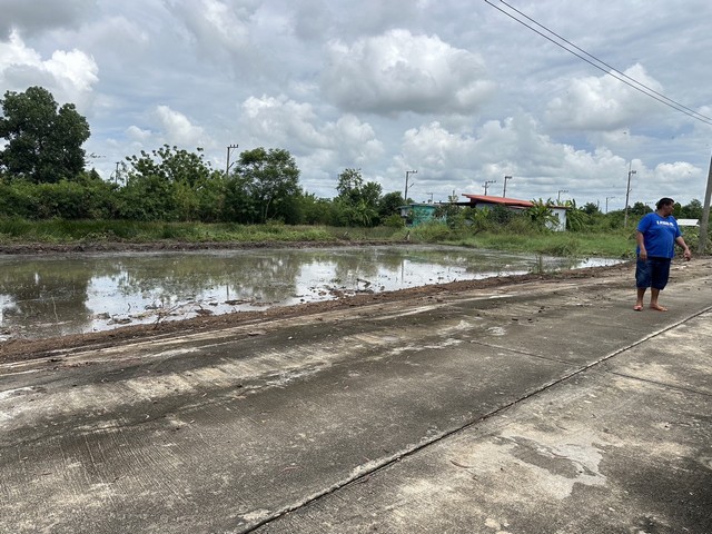 ขายที่ดิน คลอง11 อำเภอหนองเสือ  จังหวัดปทุมธานี   .