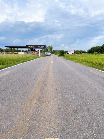 ขายที่ดิน ซอย 43 ฝั่งตะวันตก ตำบลคลองห้า อำเภอคลองหลวง จังหวัดปทุ  .