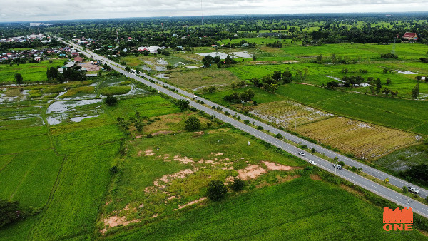 ขายที่ดิน อ.ยางตลาด กาฬสินธุ์ 5 ไร่ แปลงสี่เหลี่ยม ติดถนน 4 เลน  .