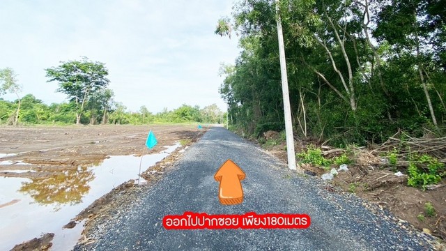 ขายที่ดิน พิกัดคลอง 10 บึงบา หนองเสือ ปทุมธานี     .