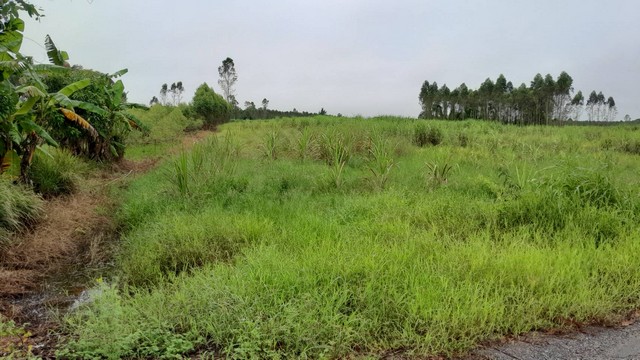 ขายที่ดินด่วน บ้านหนองหอย อำเภอกบินทร์บุรี จังหวัดปราจีนบุรี   .