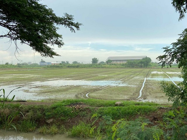 ที่ดินอยุธยา อำเภอนครหลวง น้ำไม่ท่วม 15-0-52 ไร่ ขาย 6,052,000 บา  .