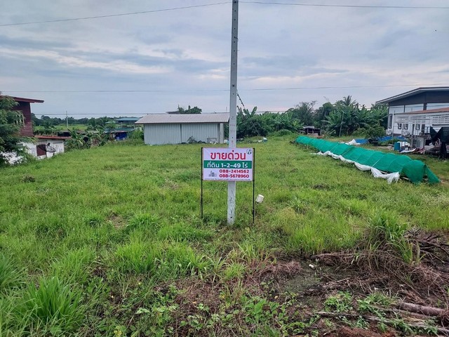 ขายด่วน ที่ดินหนองคายโพนสา ตรงข้ามหาดท่ามะเฟือง  1-2-49 ไร่  4 ล้  .