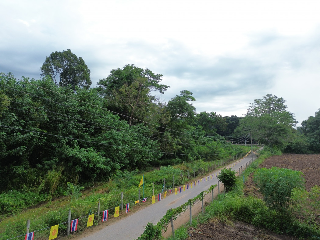 ขาย ที่ดิน เขาใหญ่ ต.​หมูสี​ อ.ปากช่อง 3 ไร่ ​ที่ติดลำตะคอง มีน้ำไหลผ่านตลอดปี​